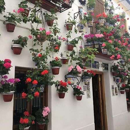 Apartamento Zoco Cordoba Exterior photo