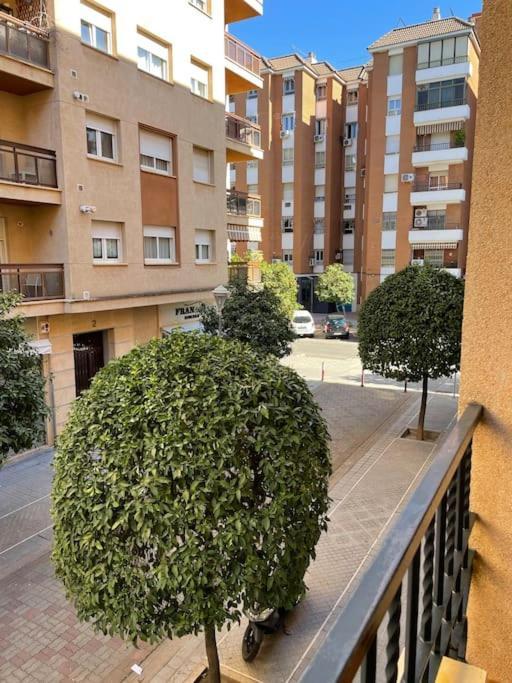 Apartamento Zoco Cordoba Exterior photo