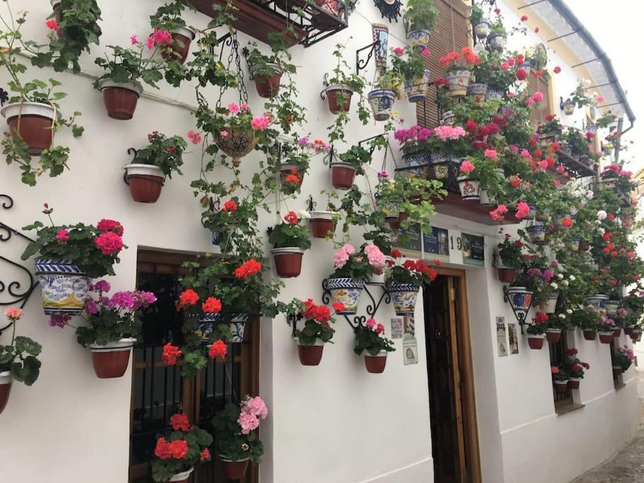 Apartamento Zoco Cordoba Exterior photo