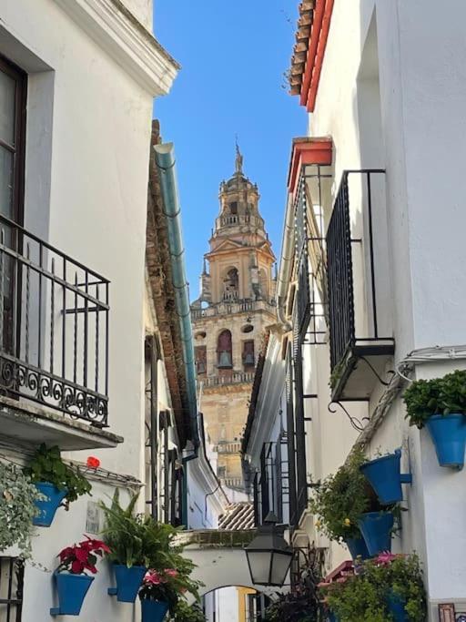Apartamento Zoco Cordoba Exterior photo